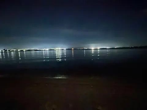 夜の水面に光が揺れる
