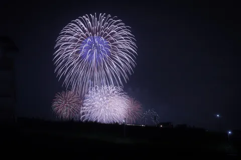 夜空を彩る光の華