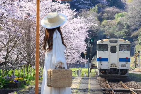 桜咲くホームで、春の列車を待つ