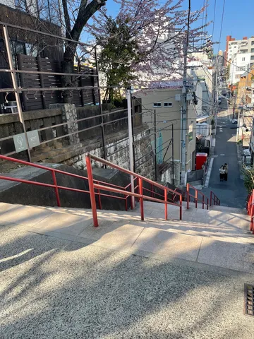 春の坂道、木漏れ日のコントラスト