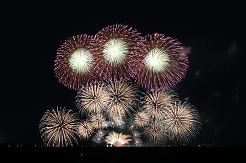光の大輪、夜空を埋め尽くす