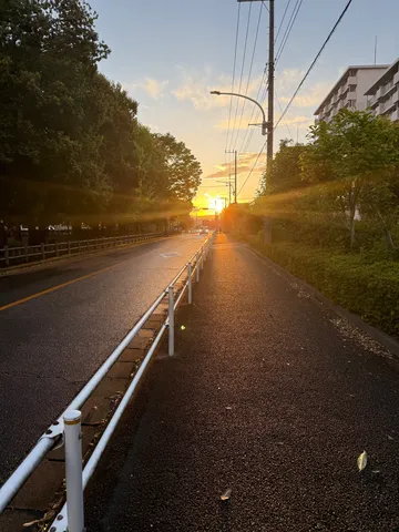 夕暮れ道、光の筋が伸びる