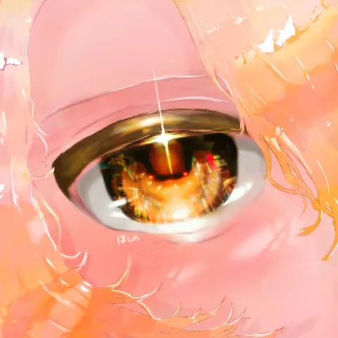 瞳の中の小さな夕焼け