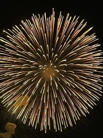 夜空に咲く光の花