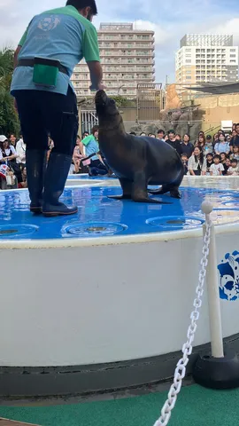 海風と触れ合う瞬間