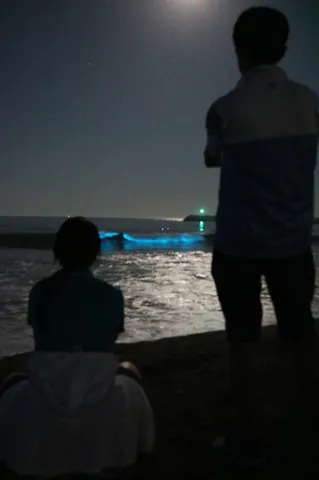 夜光る海と二人のシルエット