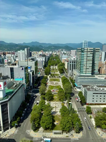 札幌の緑とビル群のシンフォニー