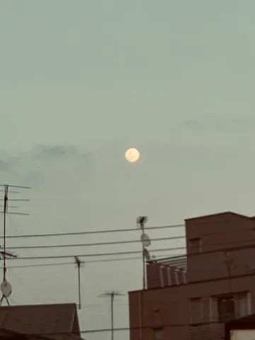 あれ、お月様は電線がお好き？