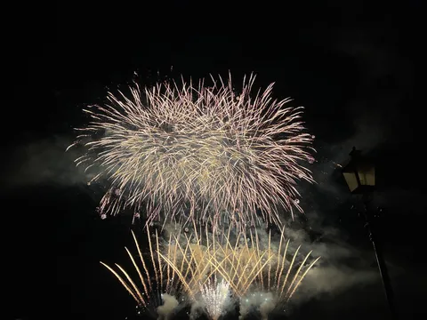 夜空を彩る華やかな光の饗宴