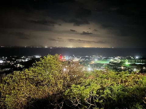 夜景に浮かぶ緑の息吹