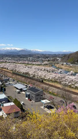 春の鉄道と桜並木