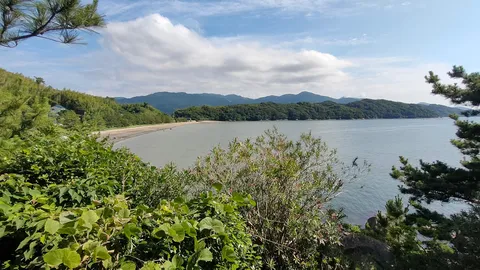 緑に包まれた静かな湾