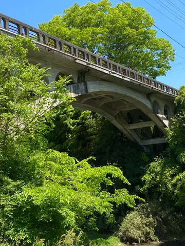 緑に包まれるアーチ橋