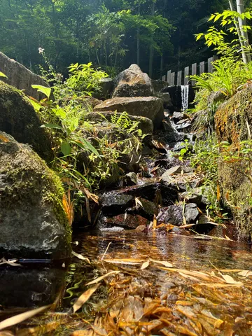 岩清水のせせらぎ、緑の囁き