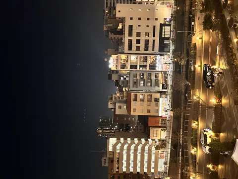 夜の街、みんな今日も元気そう