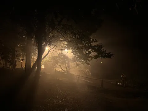 霧に灯る、夜の静寂