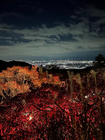 夜景と紅葉の静かな対話