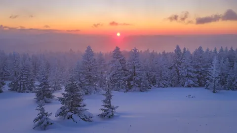 白銀の森を彩る日の出