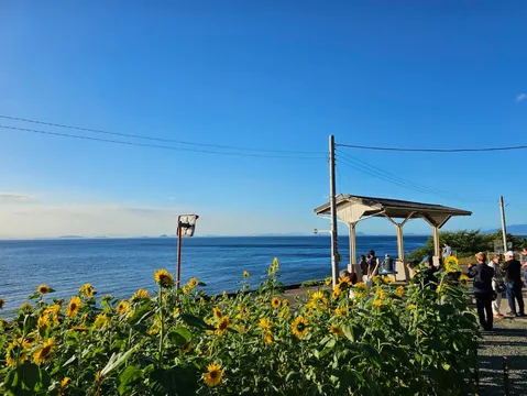 ひまわりと夏の終わりの海