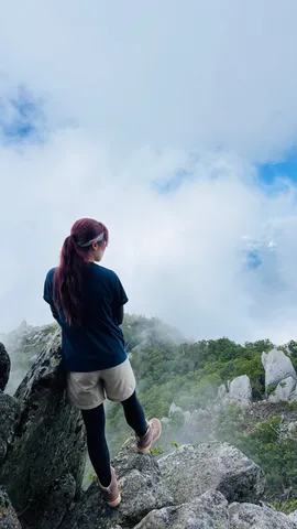 雲海を望む山頂からの景色