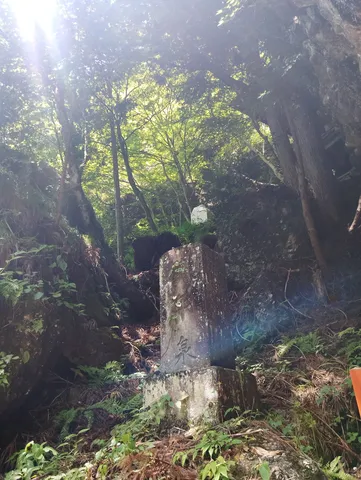 苔むす石碑、木漏れ日の奥の院