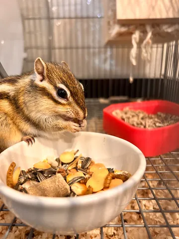 食事中の可愛い瞬間