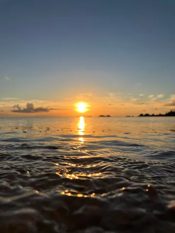 水面が捉える、黄金の夕暮れ