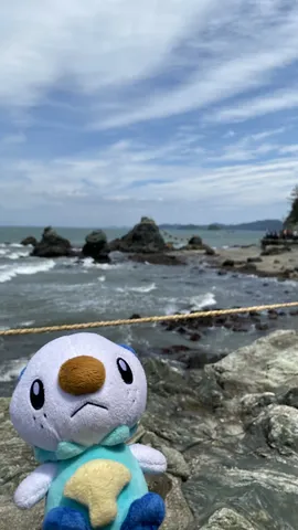 荒波を見つめる旅の相棒