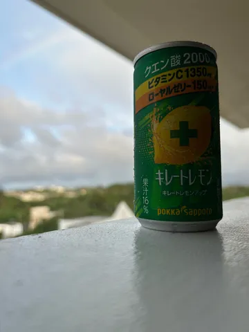窓辺の緑とレモン缶
