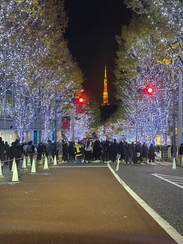 煌めく並木と東京タワーの夜景