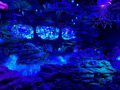 青の洞窟、深海の誘い