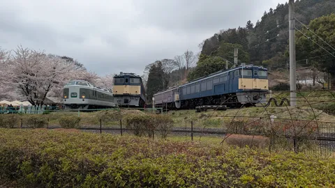 春の鉄道絵巻、満開の桜と並ぶ列車たち