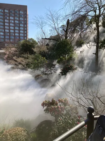 幻想的な霧の庭園