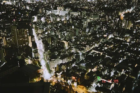 光の海に包まれた夜景