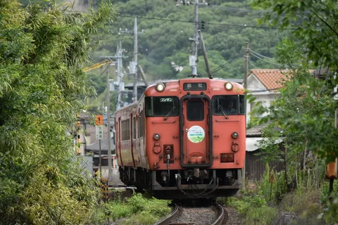 森を抜ける緑の風、対向列車