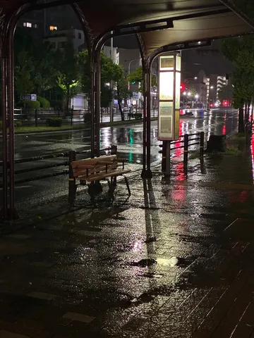 雨夜のバス停、静寂と光の交響曲
