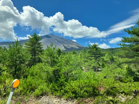 蒼穹と緑、そして悠久の山