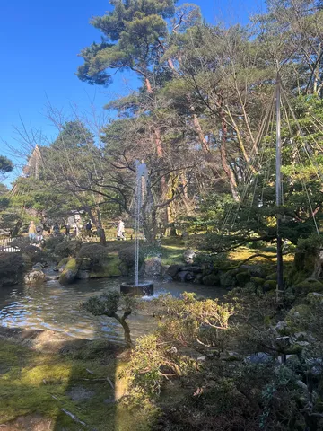 水面に映る木漏れ日の庭園