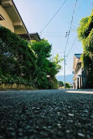 新緑に包まれた道、遠くの山へ