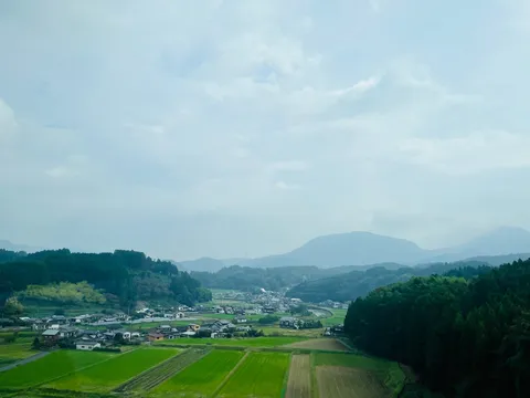 緑と空のコントラスト