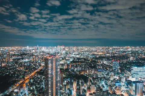 煌めく大都市の夜景