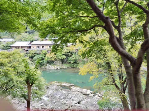 木漏れ日と清流の和み