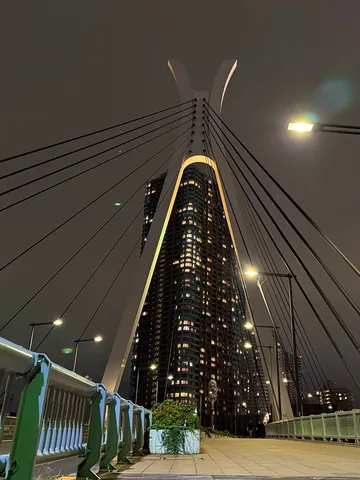 夜空を縫う光の架け橋