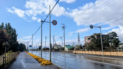 雨上がりの道、黄色い花が彩る