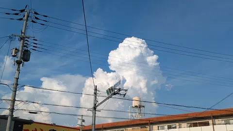 青空に映える入道雲と電線