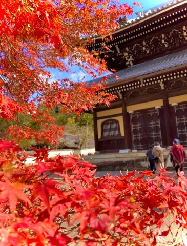 紅葉と古刹、秋の静寂