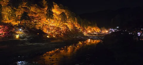 夜の灯りが木々を包む川辺