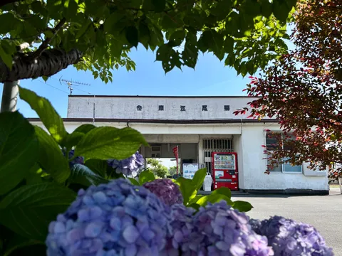 紫陽花に隠れた、静かな駅の佇まい