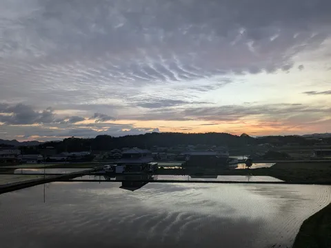 水鏡に映る、静かな空のグラデーション
