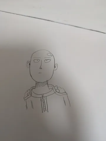 静かな視線と丸い頭部